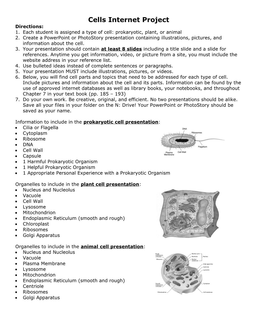 Plant and Animal Cells Booklet