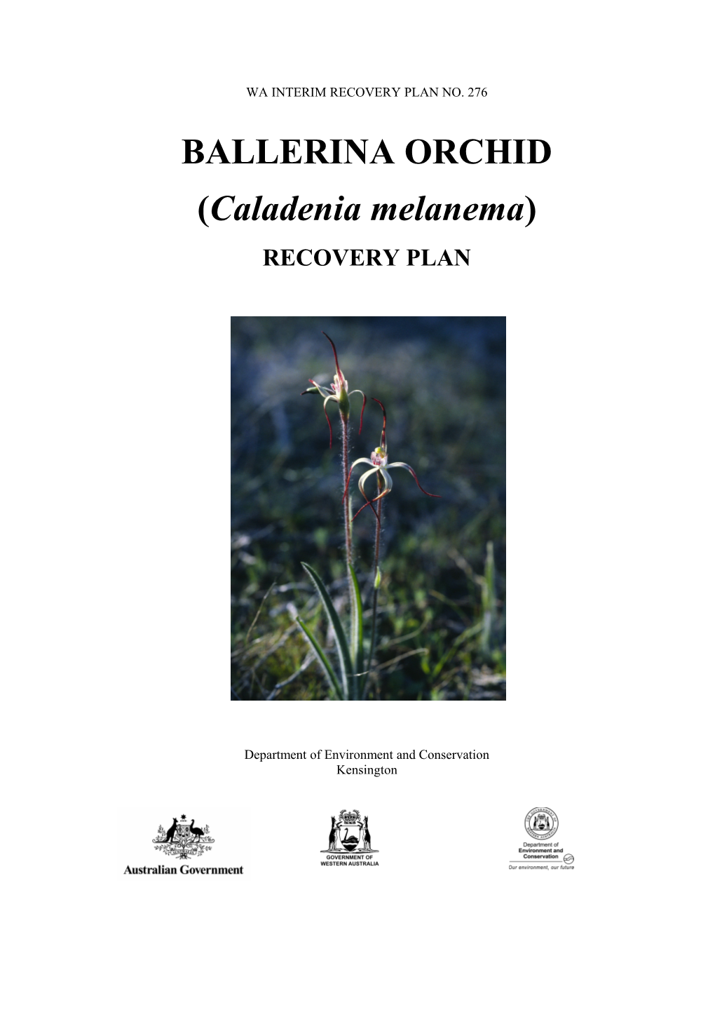Ballerina Orchid (Caladenia Melanema) Interim Recovery Plan