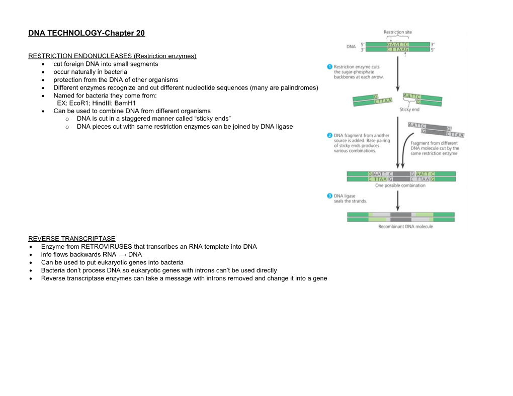 DNA TECHNOLOGY-Chapter 20