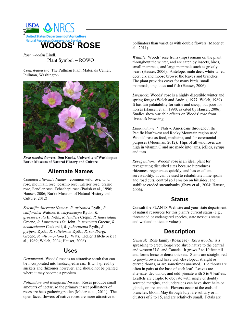 Woods' Rose Plant Guide