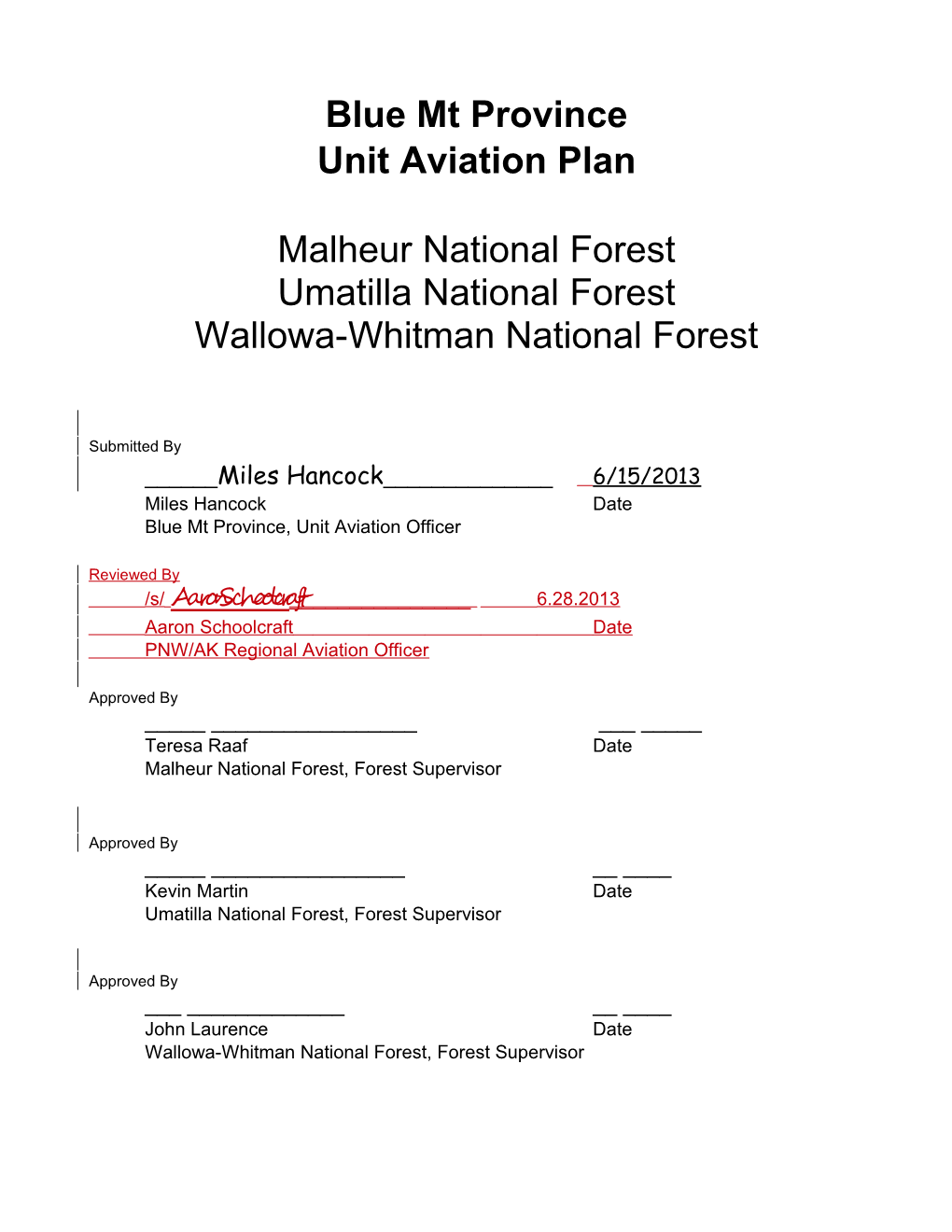 BMP Unit Aviation Plan / 2013