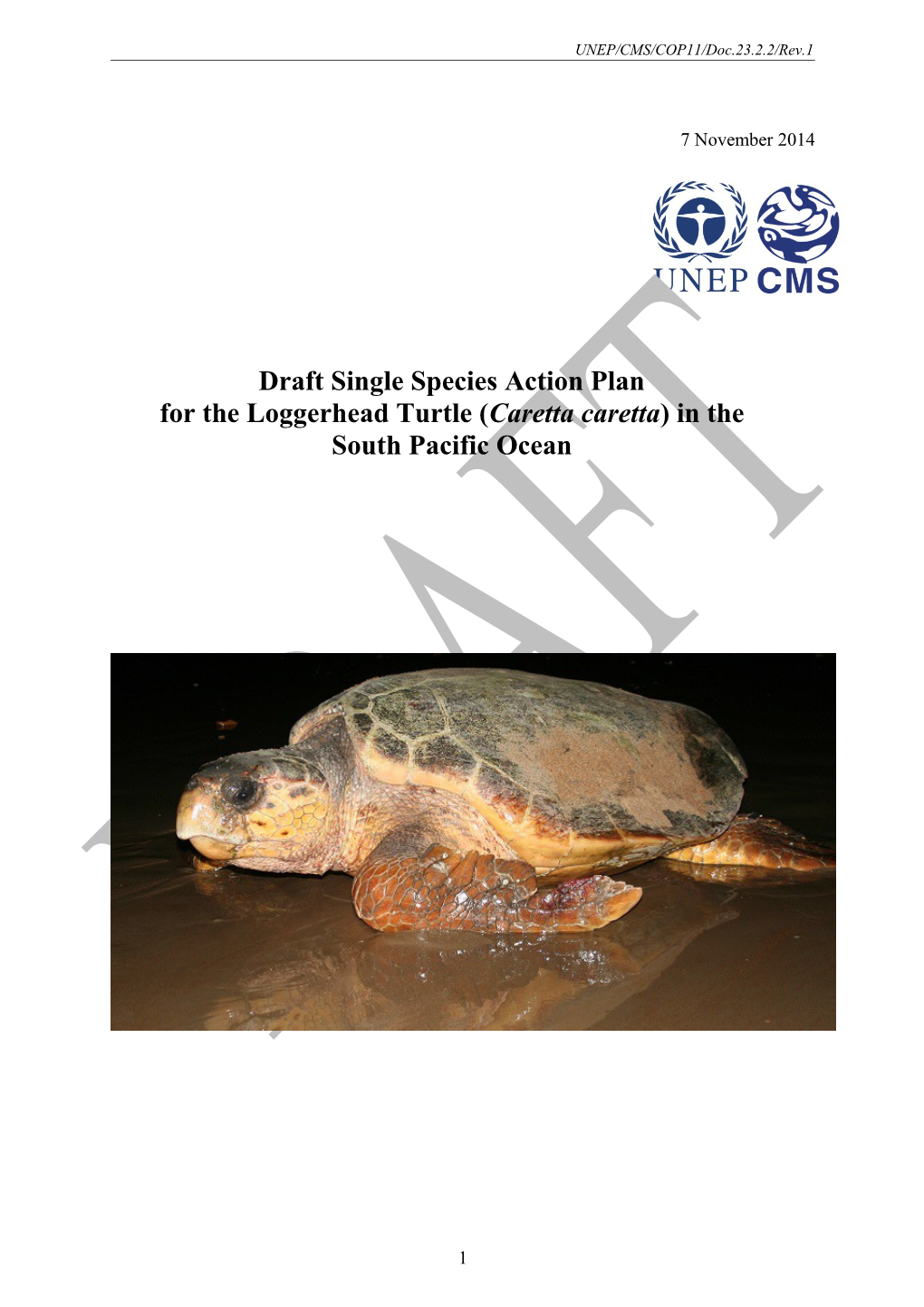 COP11 Doc 23 2 2 Draft SSAP Loggerhead Turtle En SSAP REV 1