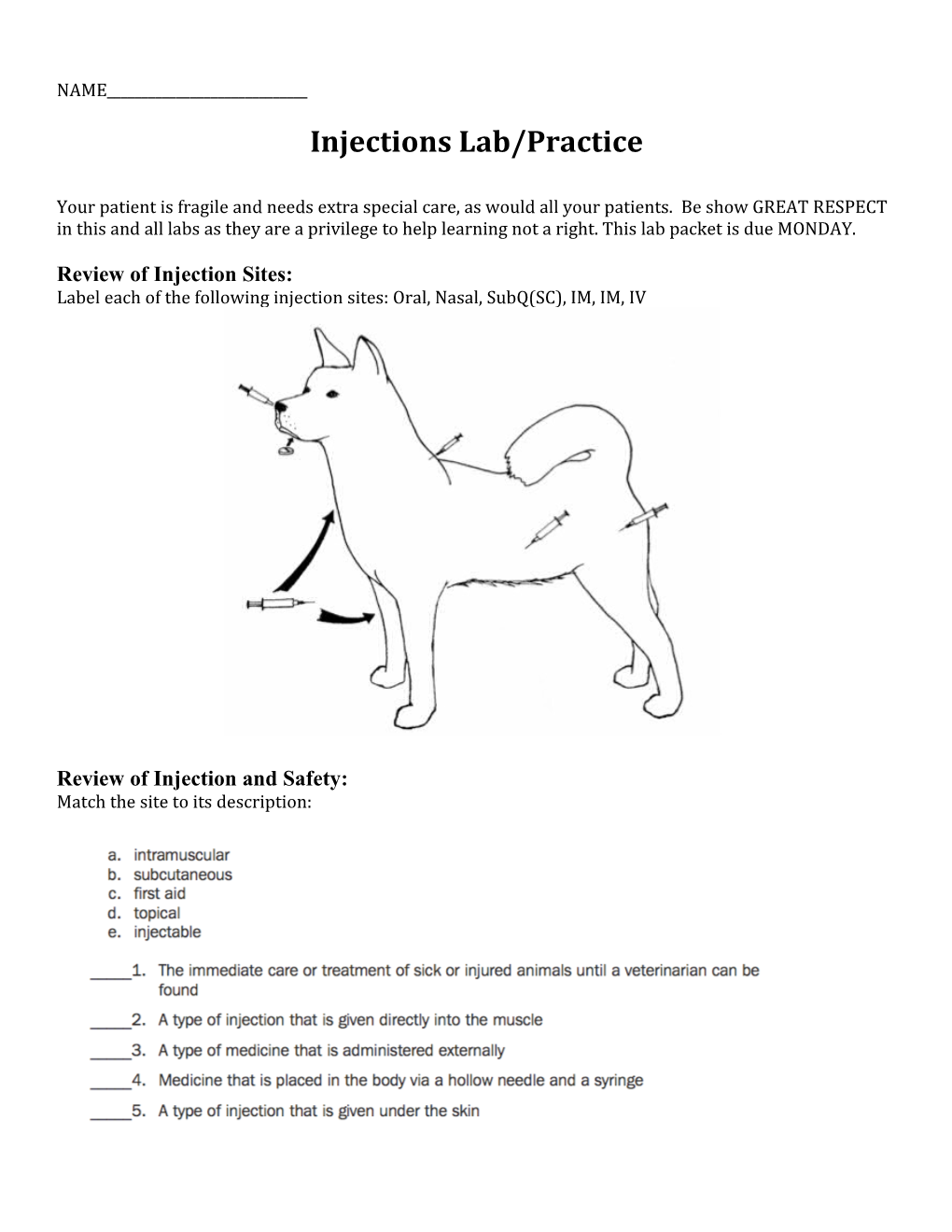 Injections Lab/Practice