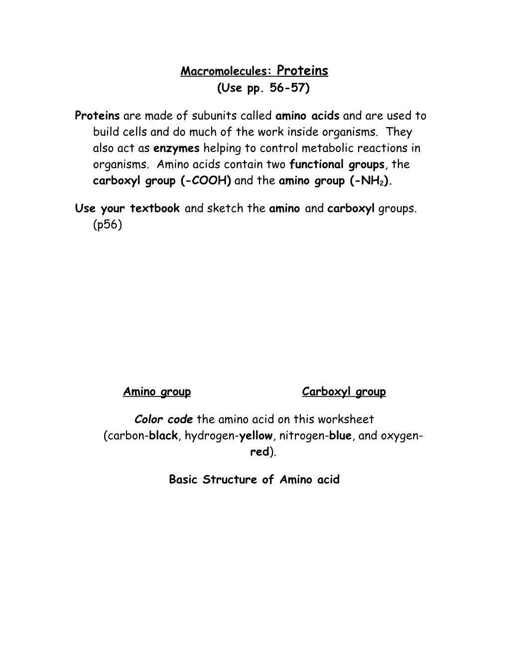 Macromolecules: Proteins (Use Pp