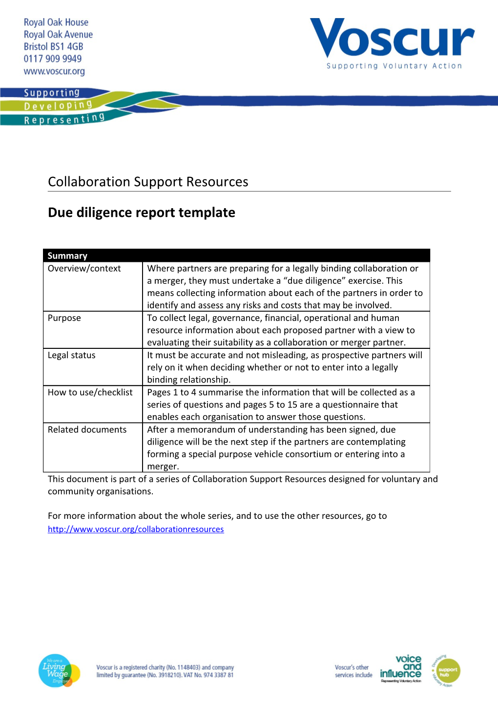 Due Diligence Report Template