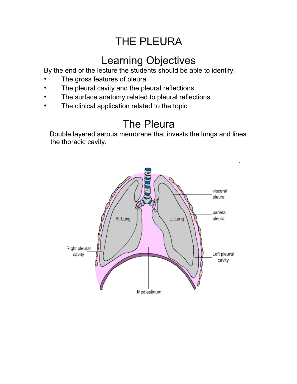 By the End of the Lecture the Students Should Be Able to Identify