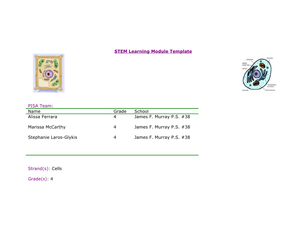 STEM Implementation Plan (SIP)