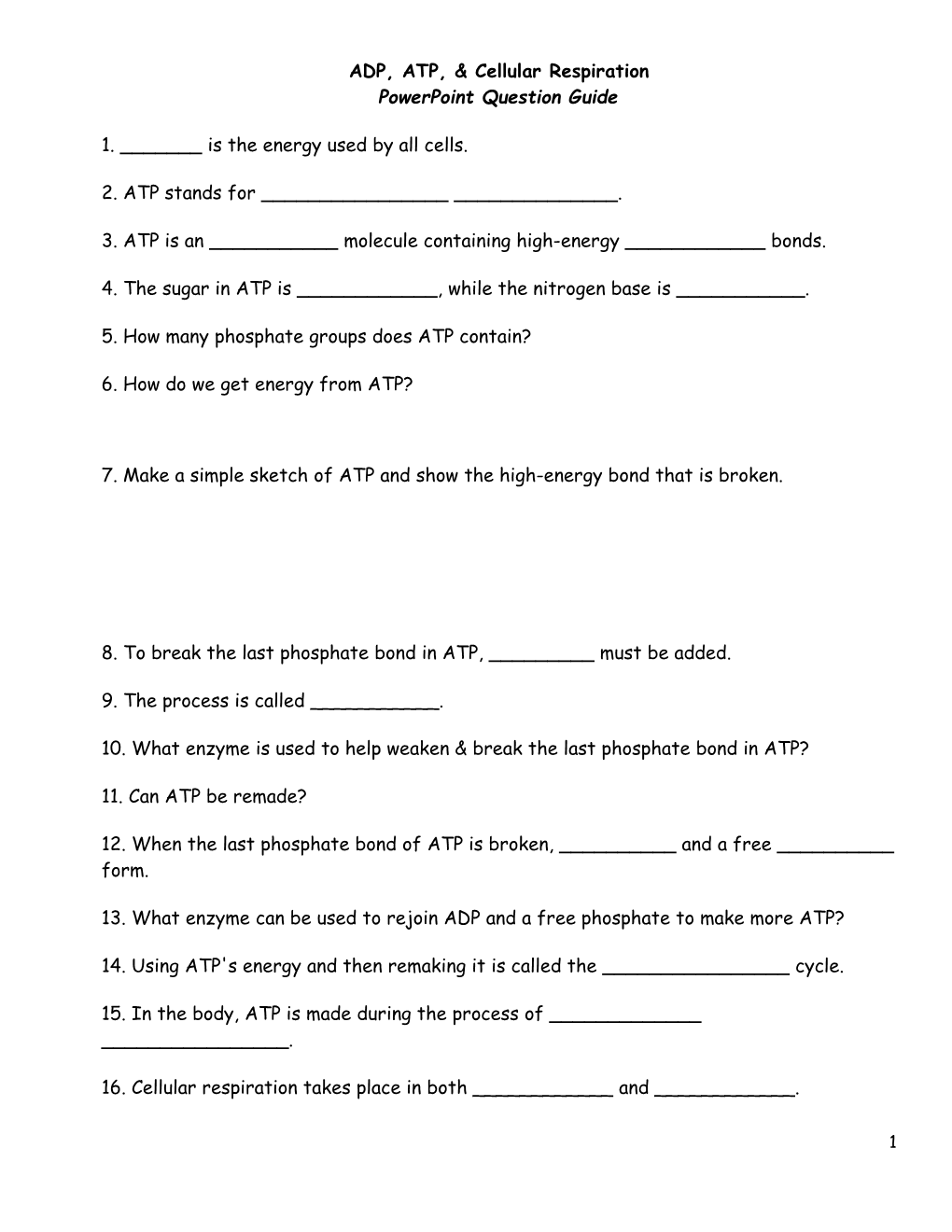 ADP, ATP, & Cellular Respiration Powerpoint Question Guide