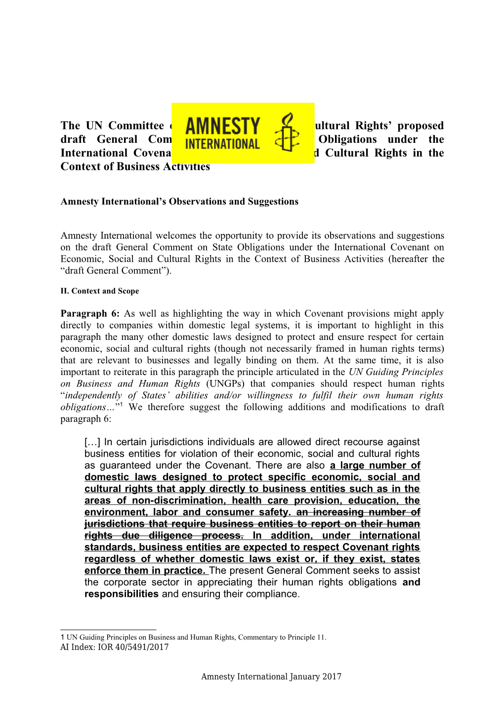 Amnesty International S Observations and Suggestions