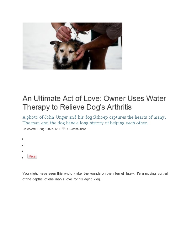 An Ultimate Act of Love: Owner Uses Water Therapy to Relieve Dog's Arthritis