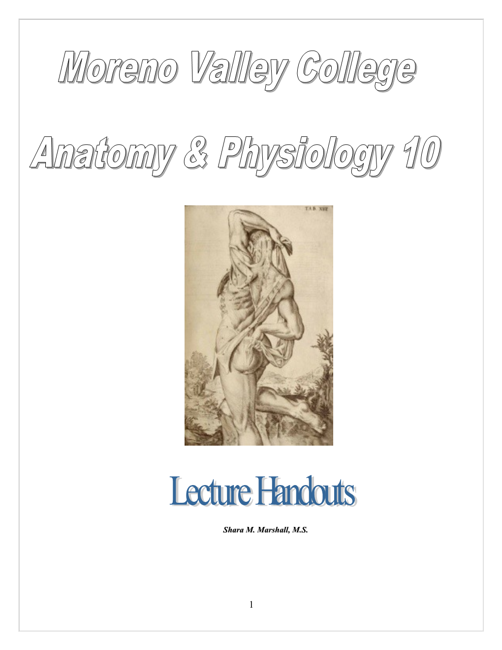 Anatomical Regions, Positions and Terminology
