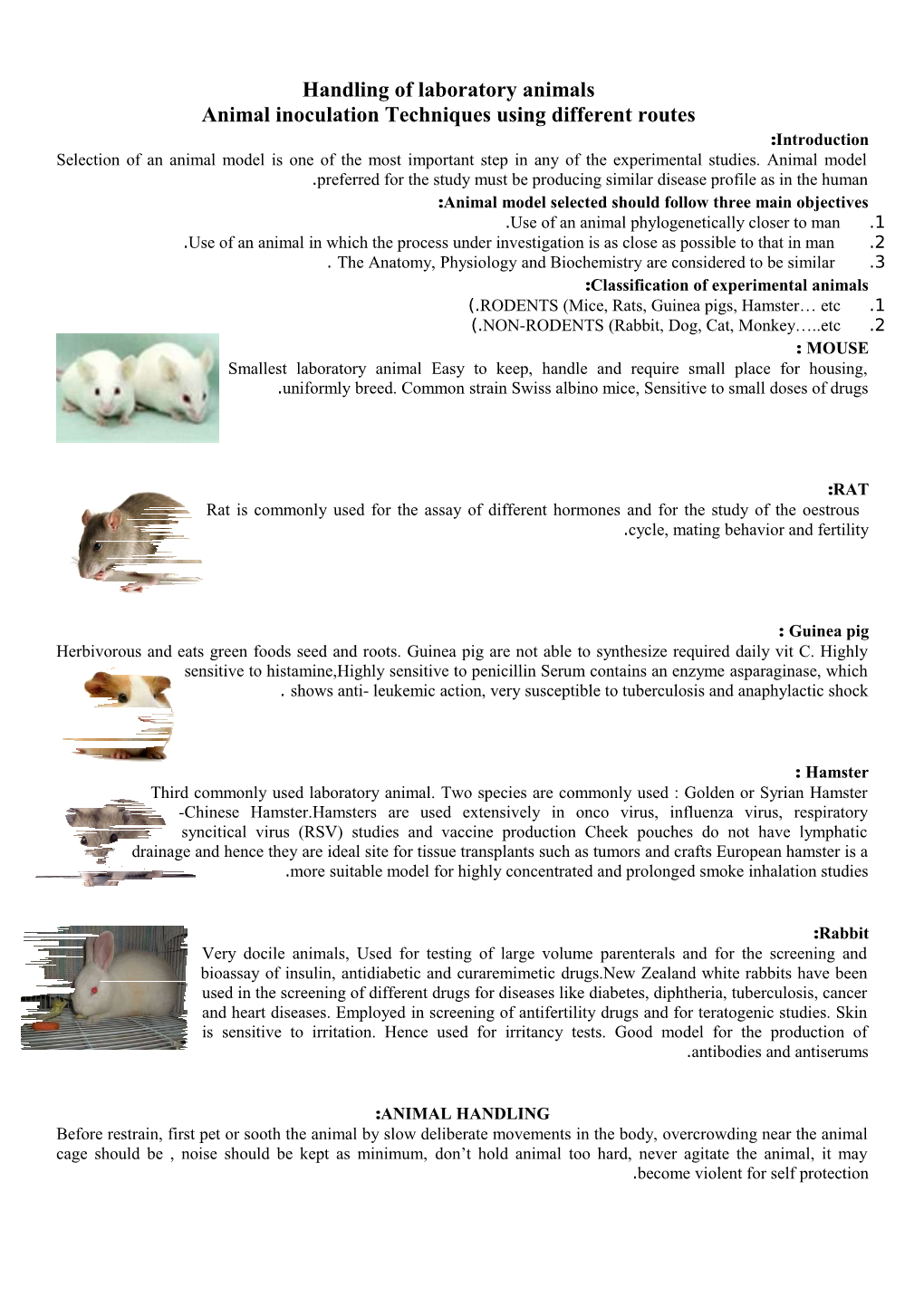Animal Inoculation Techniques Using Different Routes