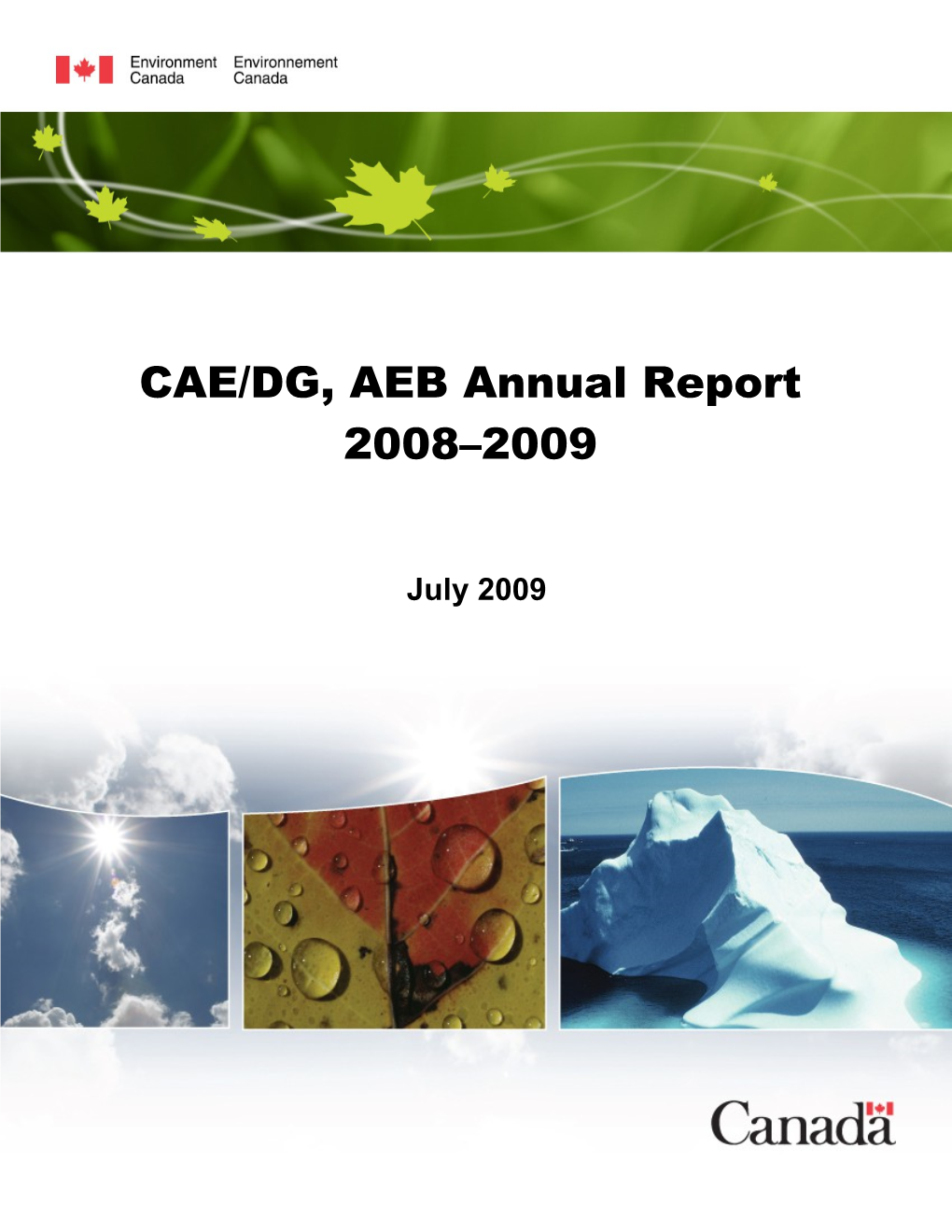 Audit and Evaluationcae/DG, AEB Annual Report 2008-2009