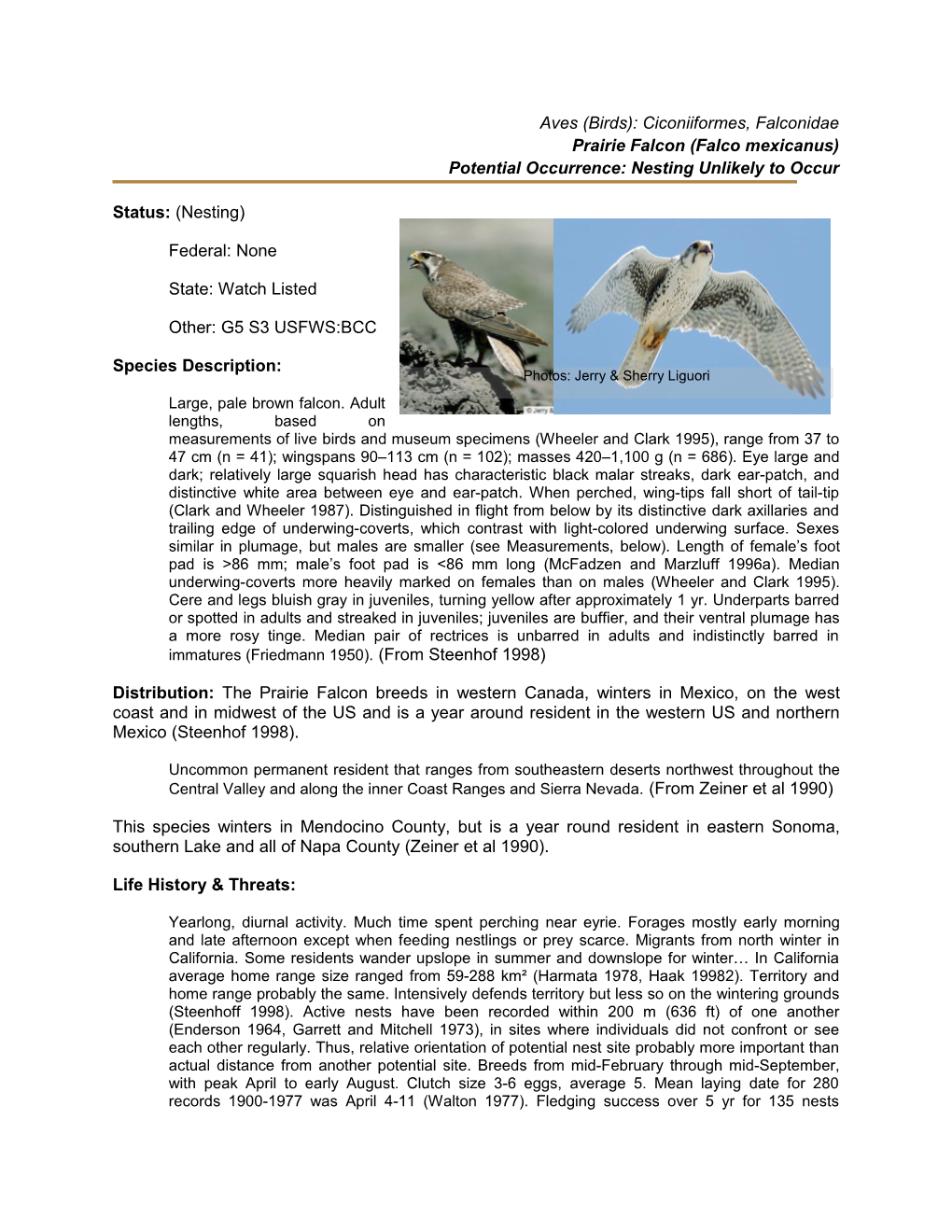 Aves (Birds): Ciconiiformes, Falconidae