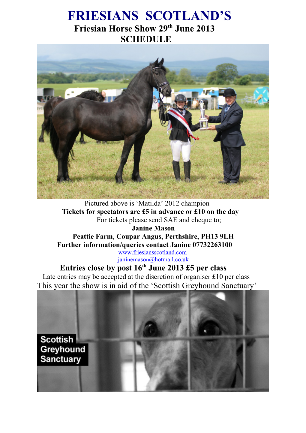 Britain S First Friesian Horse Show
