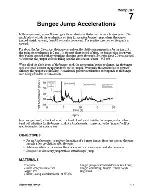 Bungee Jump Accelerations