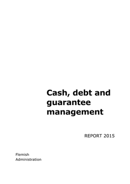 Cash, Debt and Guarantee Management