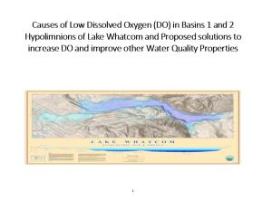 Causes of Low Dissolved Oxygen (DO) in Basins 1 and 2Hypolimnions of Lake Whatcom And