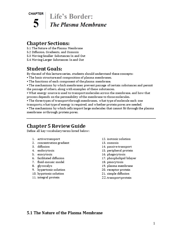 Chapter Sections