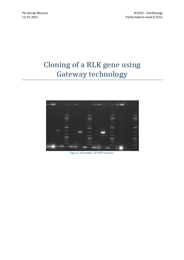 Cloning of a RLK Gene Using