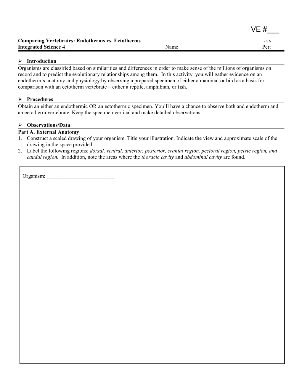 Comparing Vertebrates: Endotherms Vs. Ectotherms 1/16 - Docest