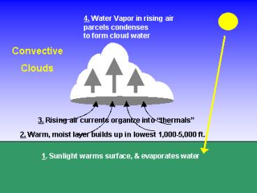 formation of a convective cloud