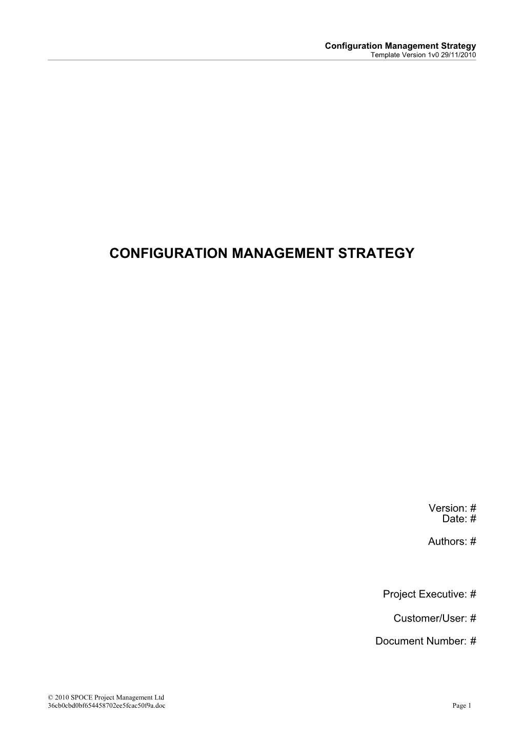Configuration Mgt Strategy