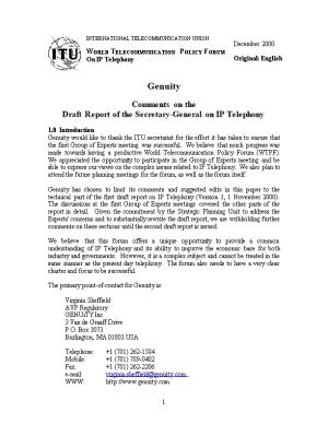 Draft Report of the Secretary General on IP Telephony for the WTPF, 2001