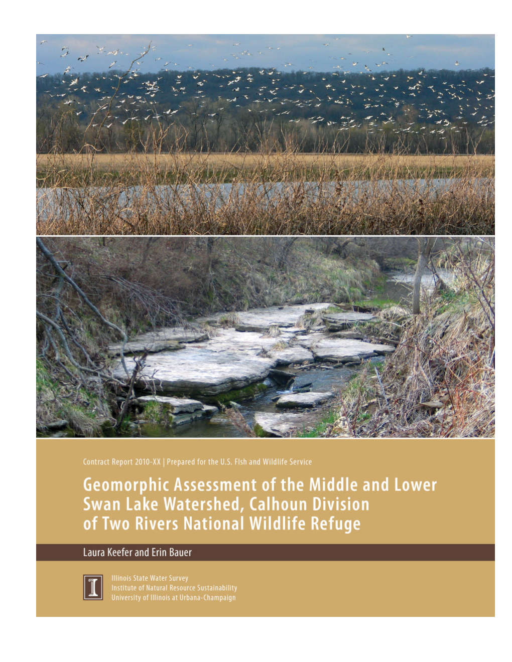 Geomorphic Assessmentof the Middle and Lower Swan Lake Watershed, Calhoun Division Of