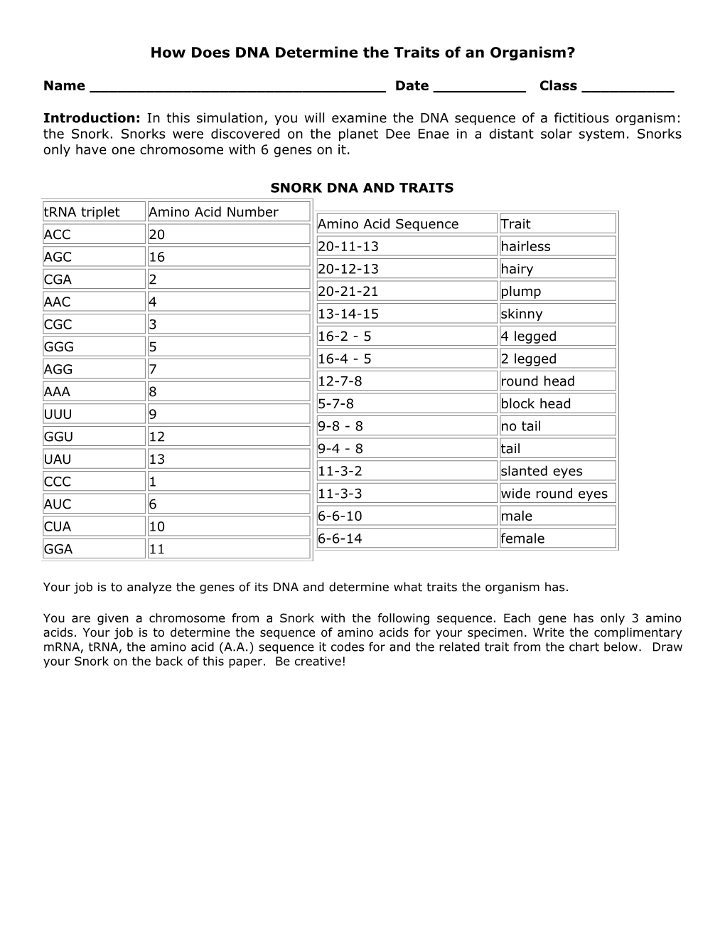 how-does-dna-determine-the-traits-of-an-organism-docest