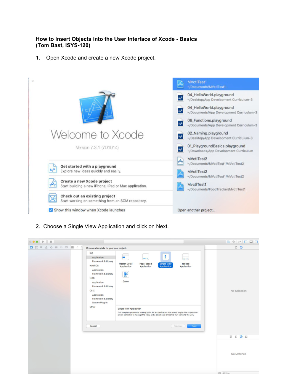How to Insert Objects Into the User Interface of Xcode - Basics