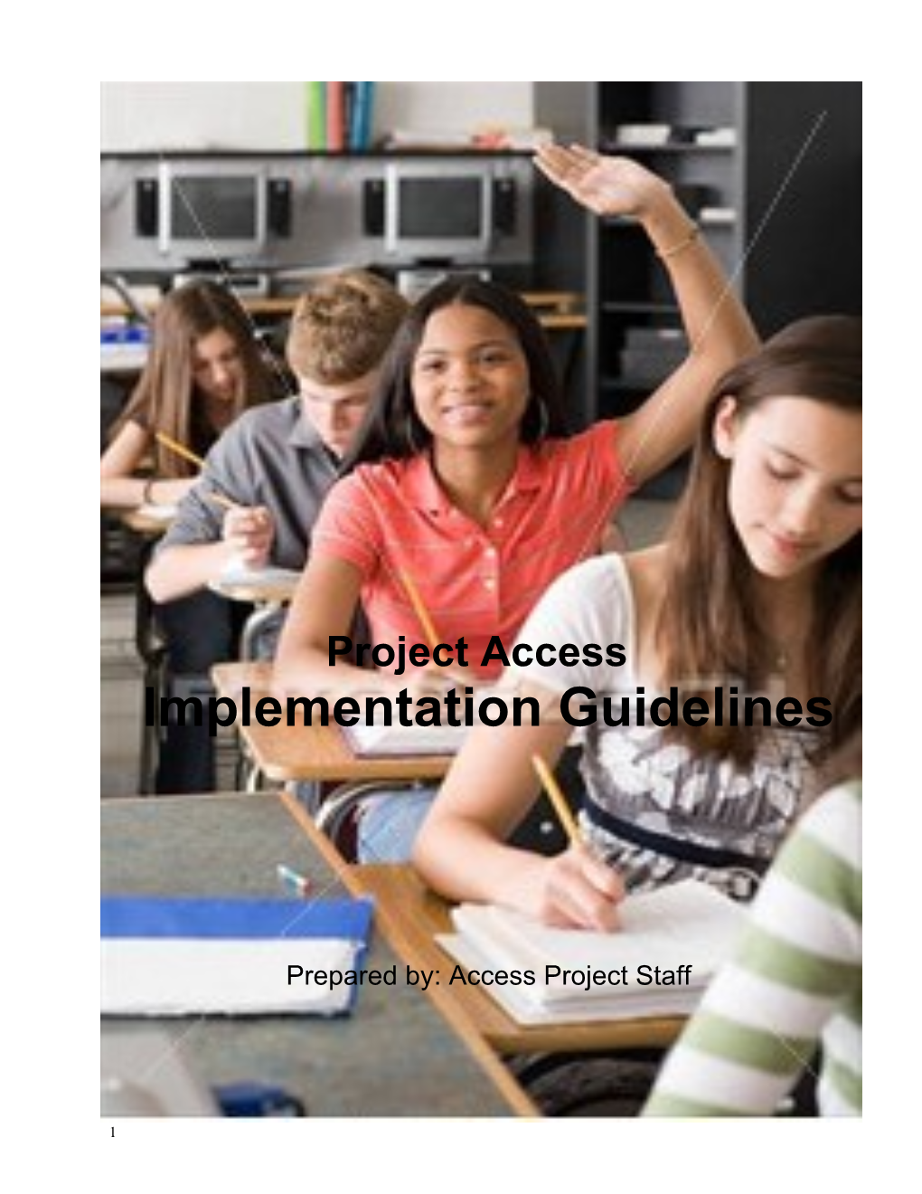 Implementation Guidelines