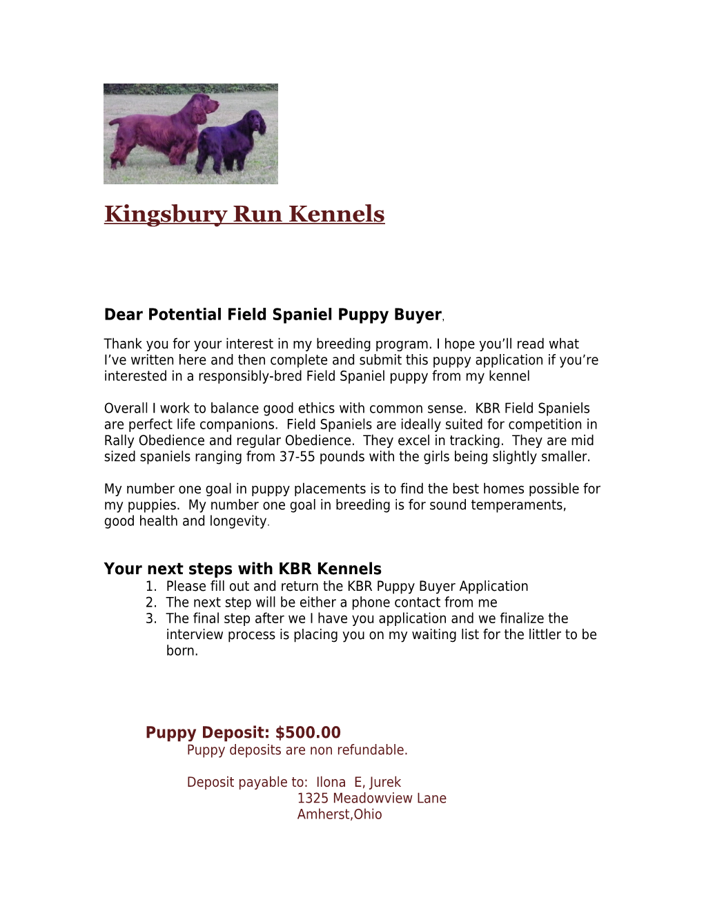 Kingsbury Run Kennels