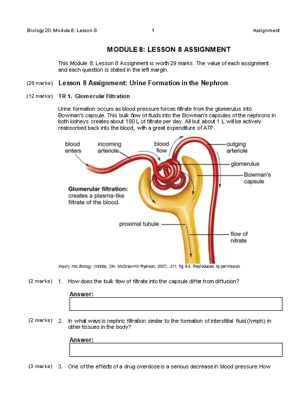 Lesson 8Assignment: Urine Formation in the Nephron
