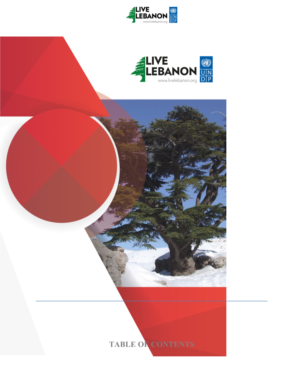 Live Lebanon Call for Proposals 2017