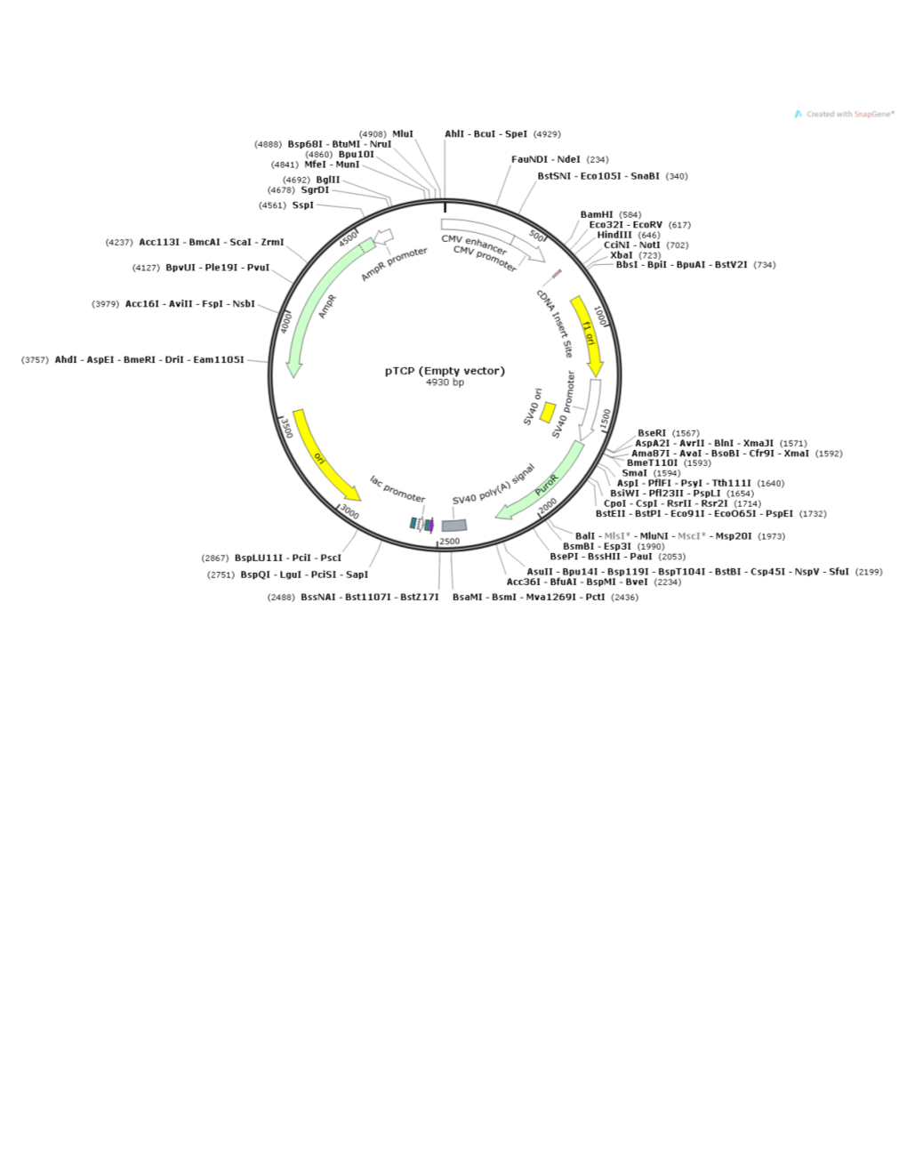 LOCUS Exported File 4930 Bp Ds-DNA Circular SYN 03-JAN-2013