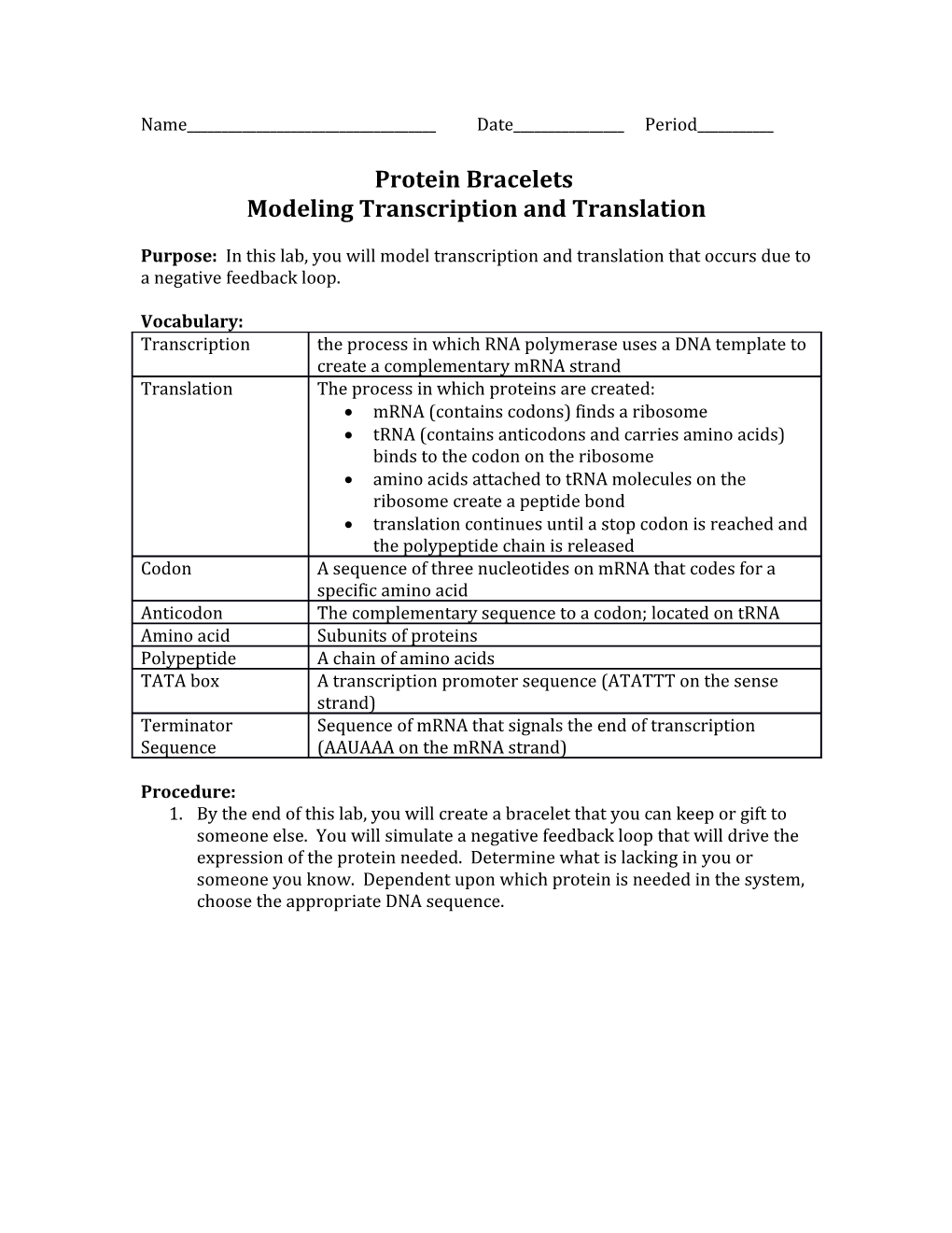 Modeling Transcription and Translation
