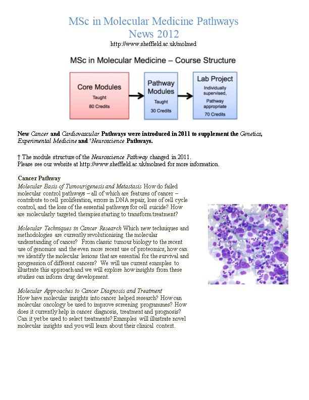 Msc in Molecular Medicine Pathways