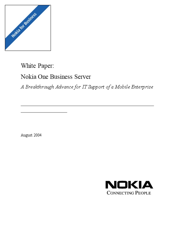 N1BS IT Professional White Paper