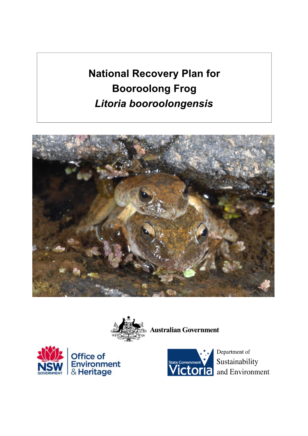 National Recovery Plan for Booroolong Frog Litoria Booroolongensis