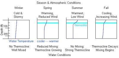 thermocline 2