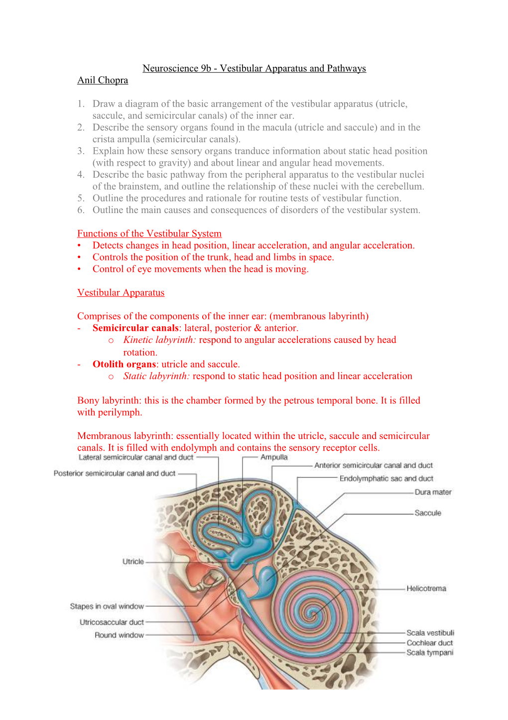 Neuroscience 9B - Vestibular Apparatus and Pathways