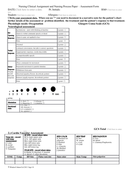 Nursing Clinical Assignment and Nursing Process Paper Assessment Form