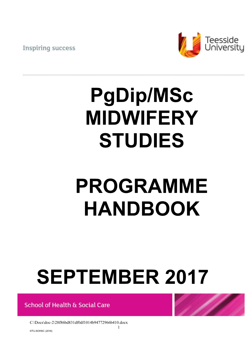 Pgdip/Msc MIDWIFERY STUDIES