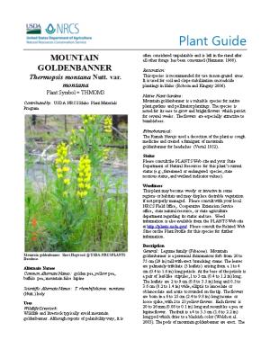 Plant Guide for Mountain Goldenbanner (Thermopsis Montana)