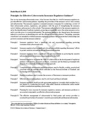 Principles for Effective Cybersecurity Insurance Regulatory Guidance 1
