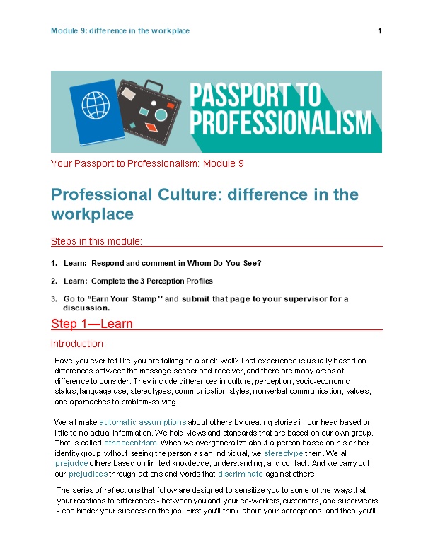 Professional Culture: Difference in the Workplace