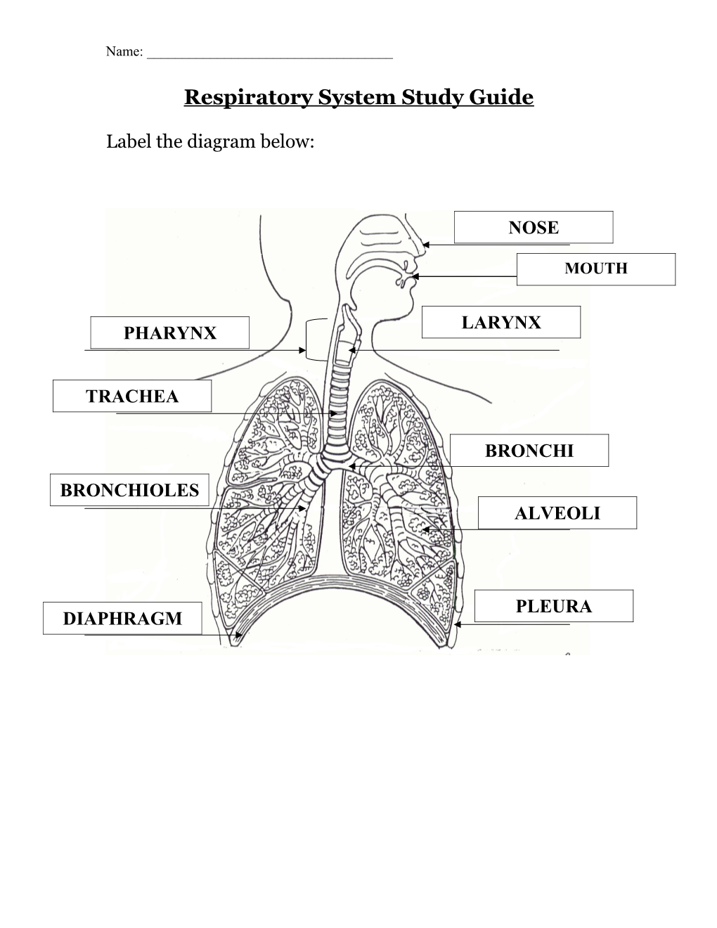 Respiratory Test Review