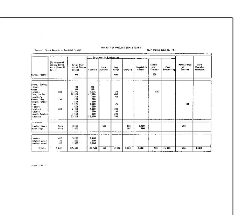 analysis of produced stores issued sample1