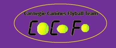 C C F Logo
